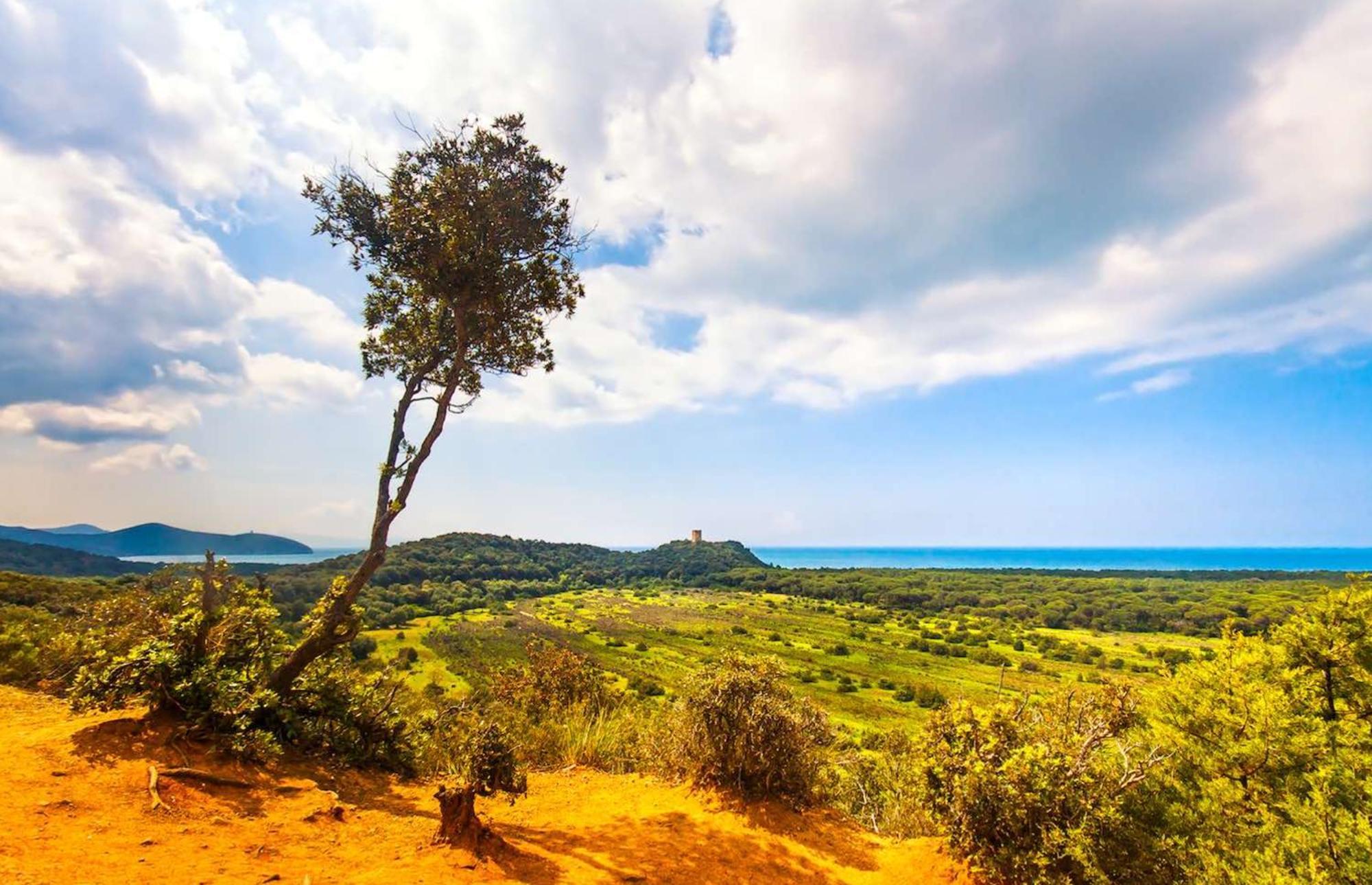 Agriturismo Capricorni Villa Massa Marittima Buitenkant foto