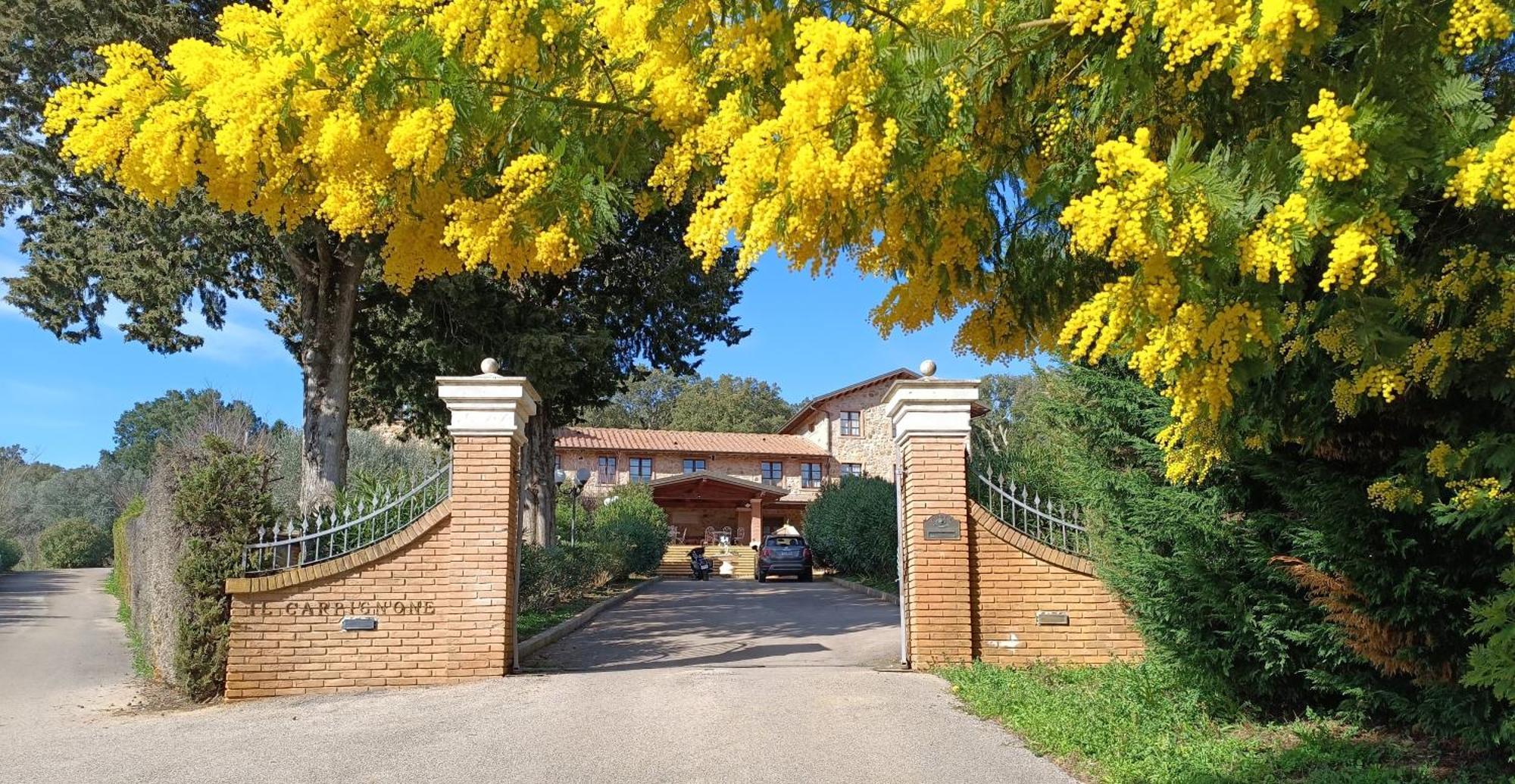 Agriturismo Capricorni Villa Massa Marittima Buitenkant foto