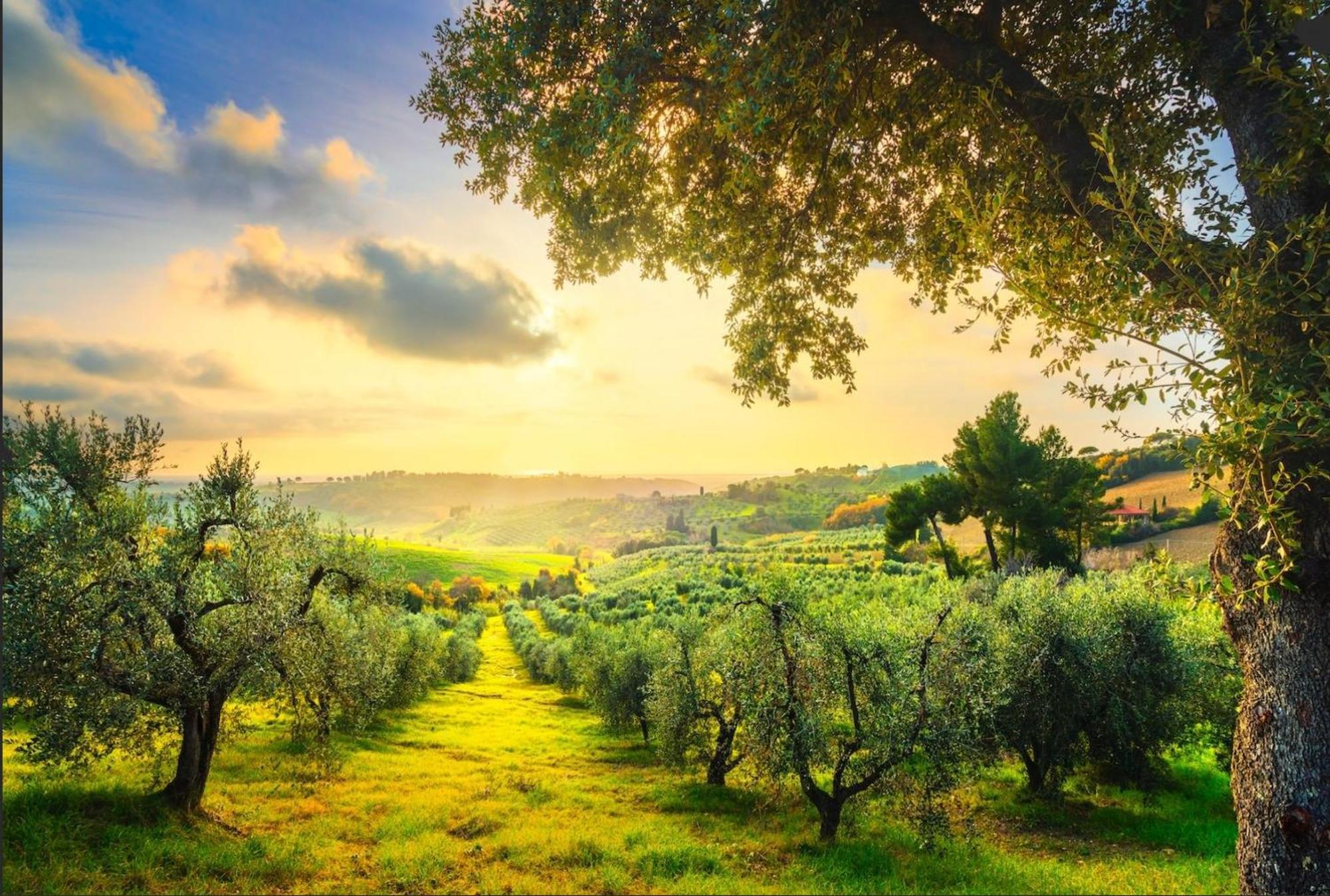 Agriturismo Capricorni Villa Massa Marittima Buitenkant foto